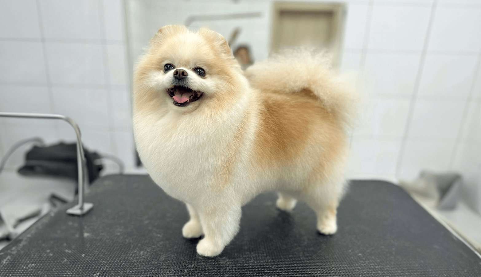 Nachher